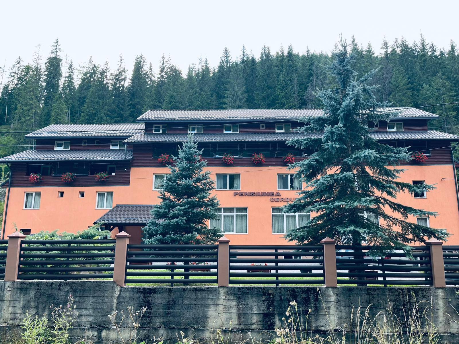 excursie școlară Păltiniș Săptămâna Verde