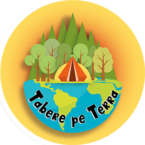 LOGO 300