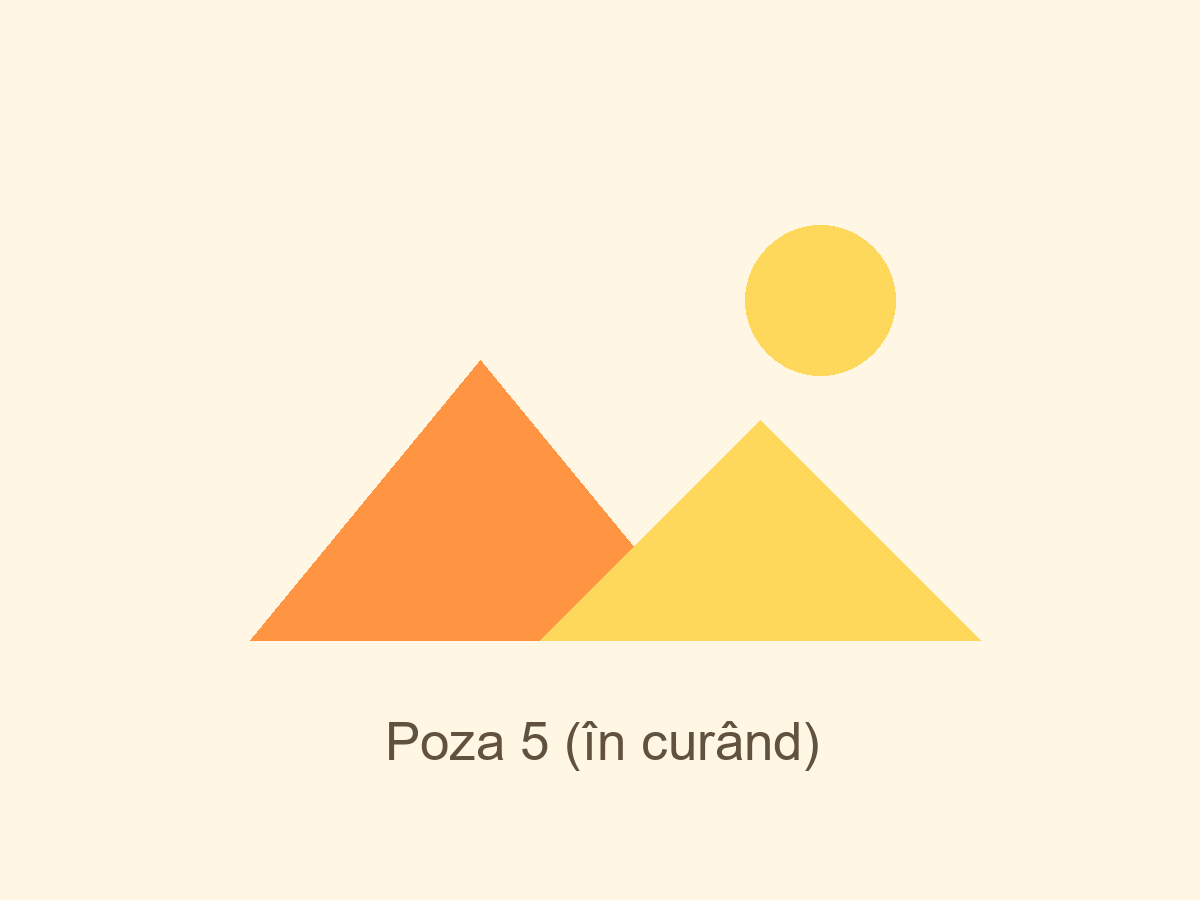 Echipă de profesioniști implicați